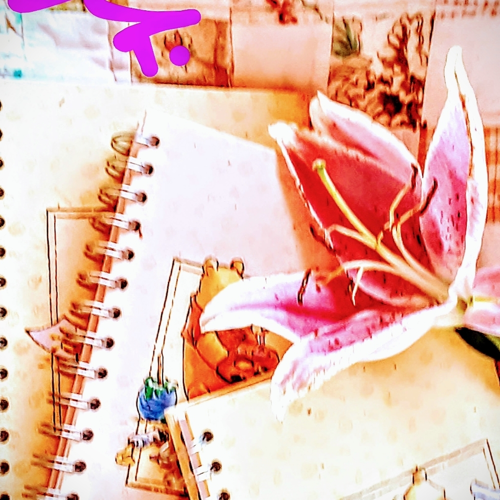 Classic Winnie the Pooh Blank Lined Journals